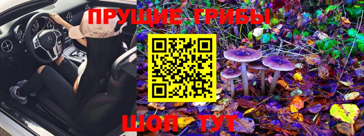 Псилоцибиновые грибы Psilocybe  Вход с VPN  Михайловск  Псилоцибиновые грибы Cubensis 